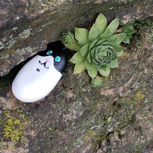 Meet your Posher, Abby